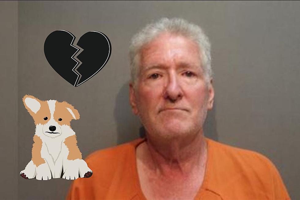 Texas Man Arrested After Drowning 9 of His Daughter's Puppies
