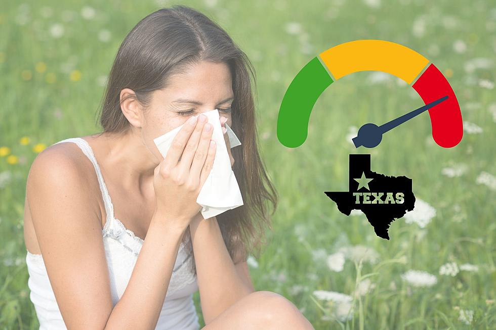 10 Ways to Manage Allergies Effectively in Texas