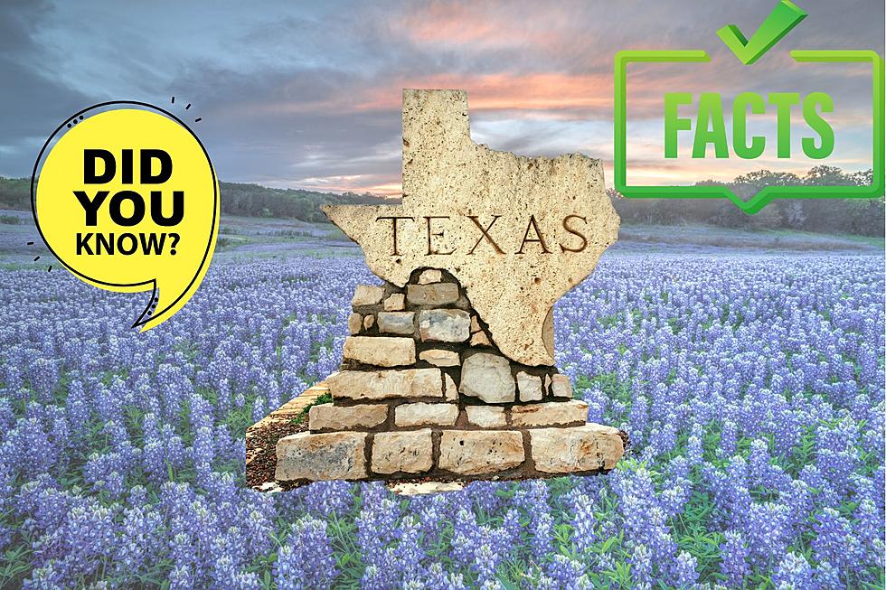 Do You Know These 13 Interesting But Little-Known Facts About Texas?