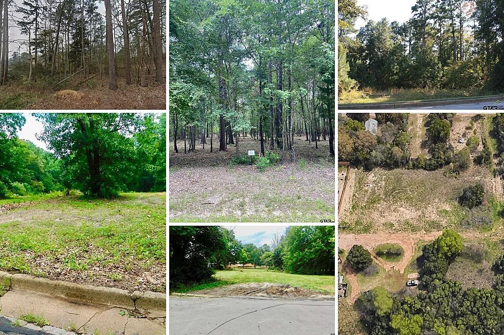 Take a Look at the 10 Cheapest Plots of Land in Tyler, Texas