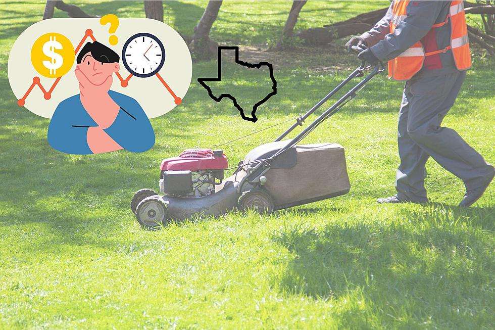 Lawn Maintenace and Mowing Costs Around East Texas