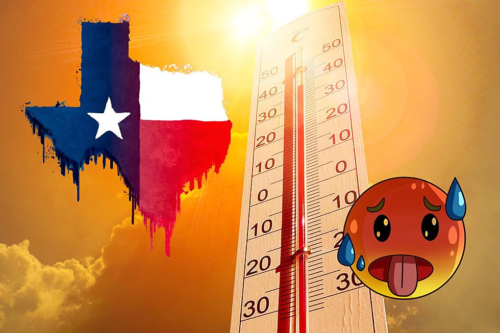 Does a Warm Texas Winter Mean Summer ’24 Will Kill Us?