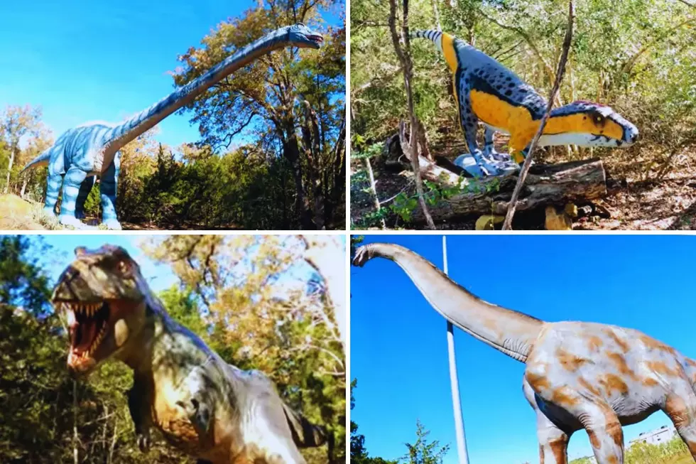 Why’d No One Tell Me About This Texas Park Full of Life-Sized Dinosaurs Yet?