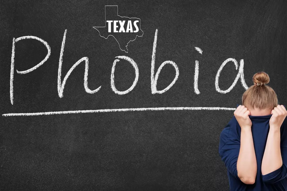 10 Most Common Phobias Among All People in Texas