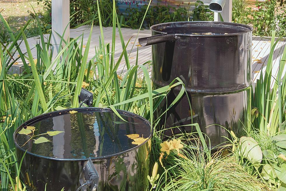 Is it Illegal to Collect and Save Rainwater Here in Texas?