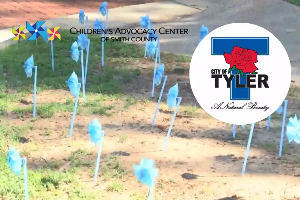 The Reason You&#8217;re Seeing Blue Pinwheels Planted in Tyler, Texas