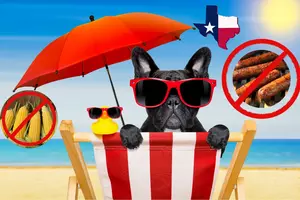 Texas Summertime Foods That Can Make Your Dog Sick