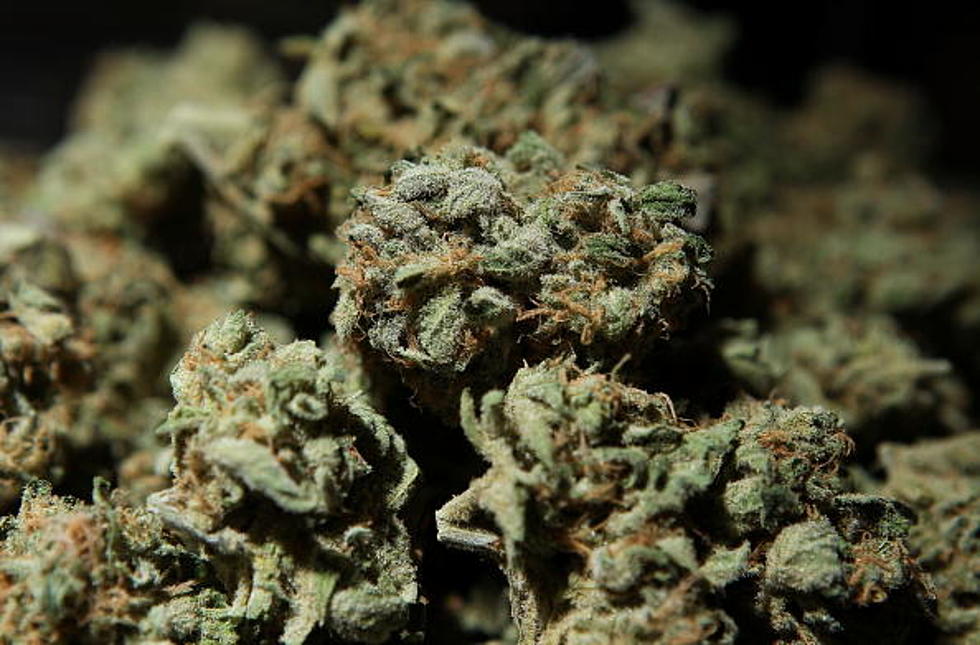 Pot Is Now Legal in New Mexico