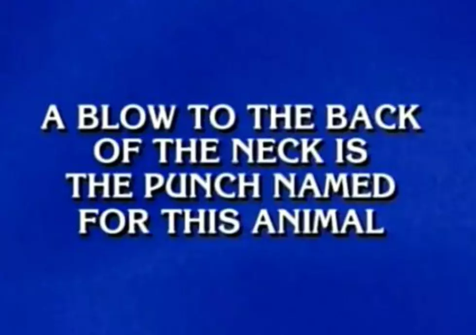 Was Donkey Punch a Jeopardy Answer? [VIDEO]