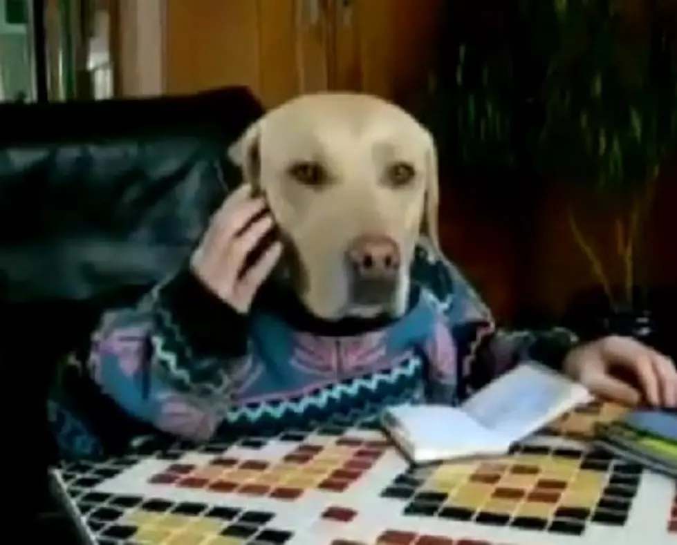 RockShow Threesome: Dog Calls 911 For Himself  [AUDIO]