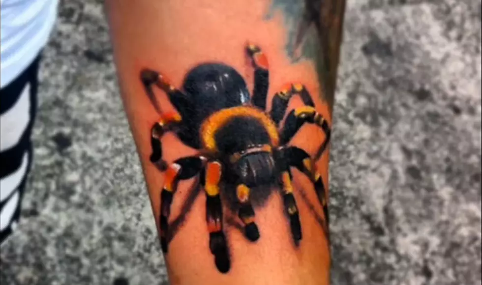 Dude, You Have A Bug On Your Arm!!! [VIDEO]