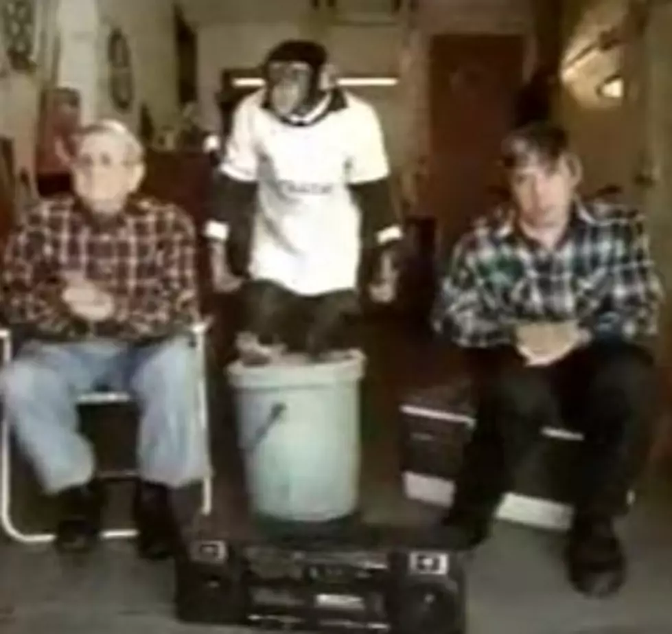 This E-Trade Chimp is Totally Wes [VIDEO]