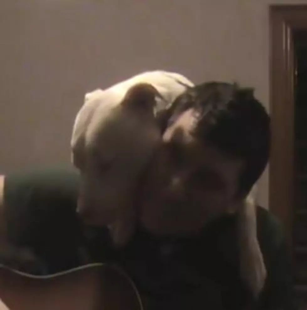 Doogie the Pit Bull Loves to Be Sung to [VIDEO]