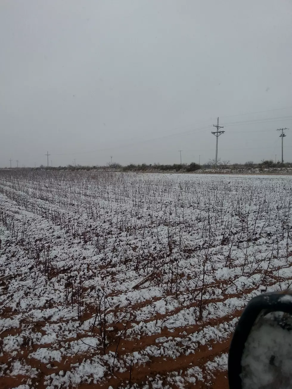 Snow Falls in West Texas on April 1