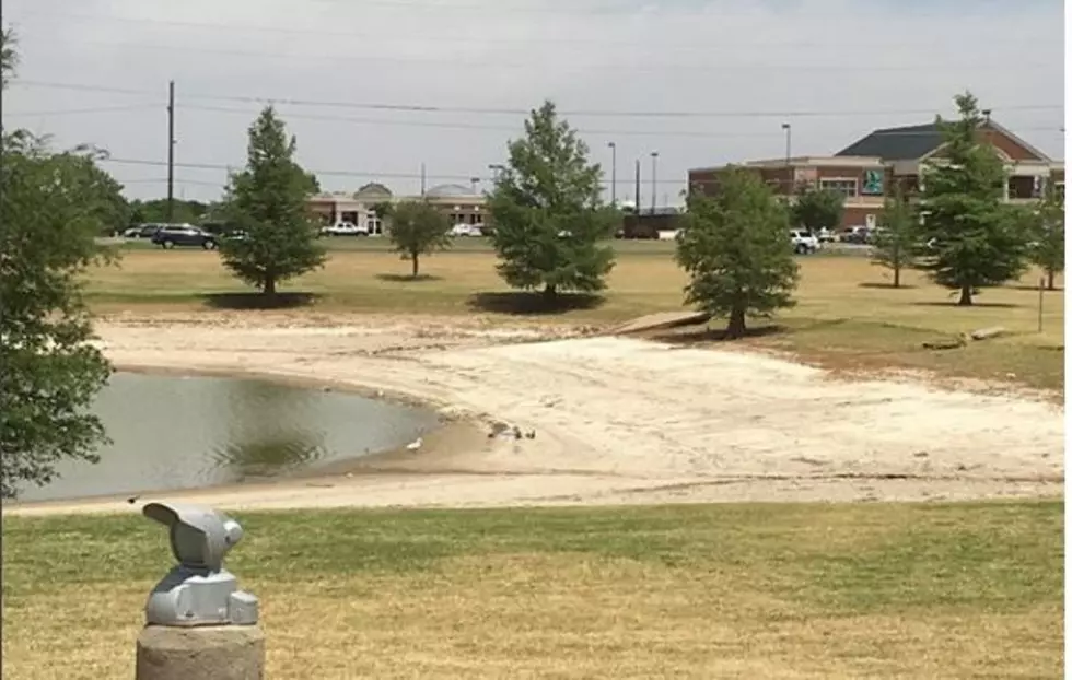City Warns There&#8217;s No Swimming In Nasty Murky Gross Playa Lakes