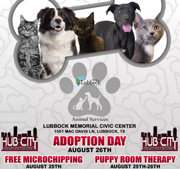 Hub City Comic Con to Host Pet Adoption, Microchipping &#038; Puppy Therapy Days