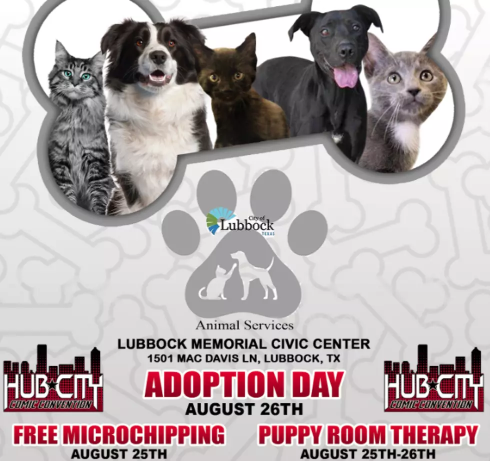 Hub City Comic Con to Host Pet Adoption, Microchipping & Puppy Therapy Days