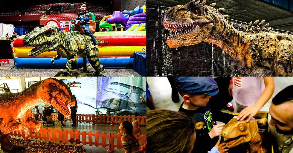 Win a Family 4-Pack to Jurassic Adventure in Lubbock