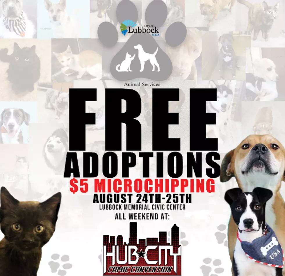 Hub City Comic Convention Will Have Free Pet Adoptions and $5 Microchipping