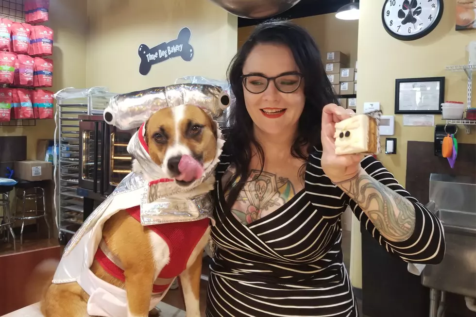 Renee’s Ready for Three Dog Bakery’s Growl-O-Ween Festival. Are You?