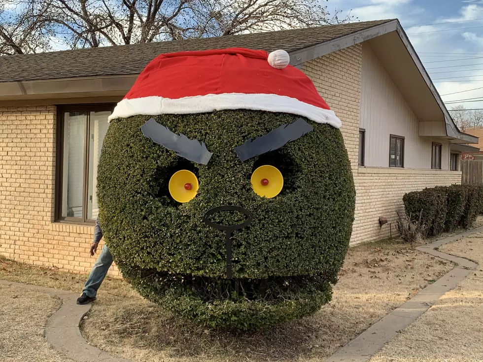 Lubbock’s ‘Smiling Bush’ Turns Grinch for Christmas and a Good Cause