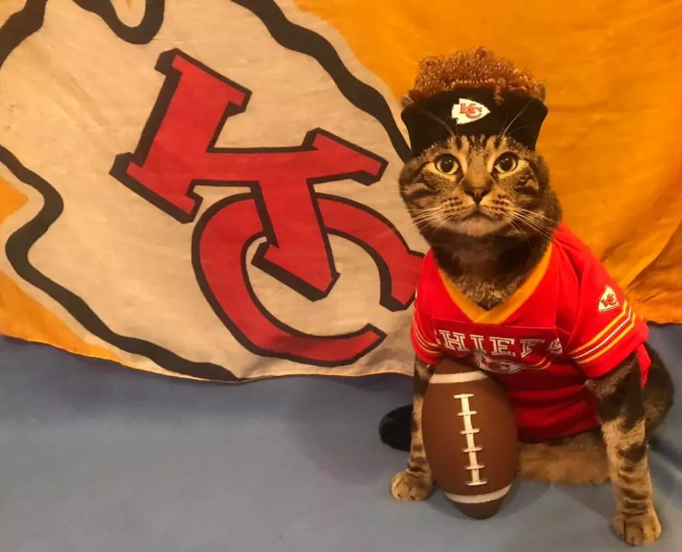 Celebrate the Chiefs’ Super Bowl Win With Catrick Mahomes