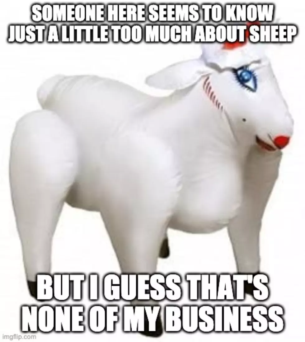 The Sheepiest Of Sheeple Are The Sheeple People