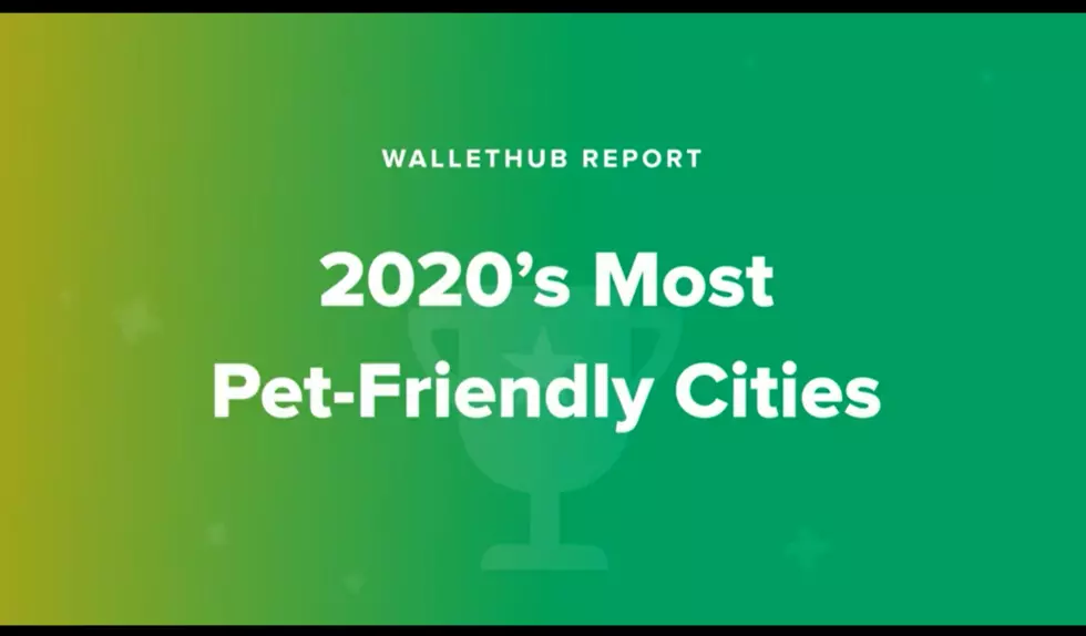Lubbock Is 36th Most Pet-Friendly City Out of 100 Largest Cities