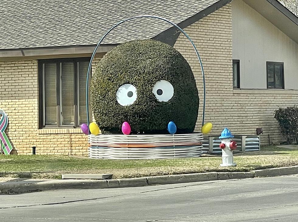 Smiling Bush Becomes Lubbock's Largest Easter Egg