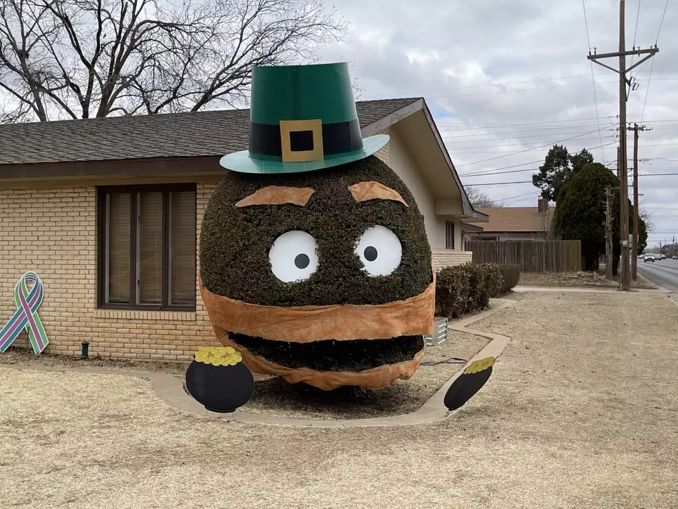 Lubbock’s Iconic Smiling Bush Gets a March Makeover