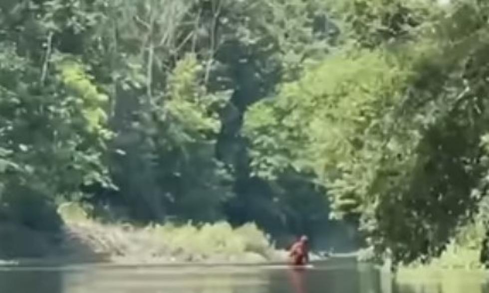 [Video] Another Blurry Sighting of Bigfoot, This Time With His Baby “Littlefoot”
