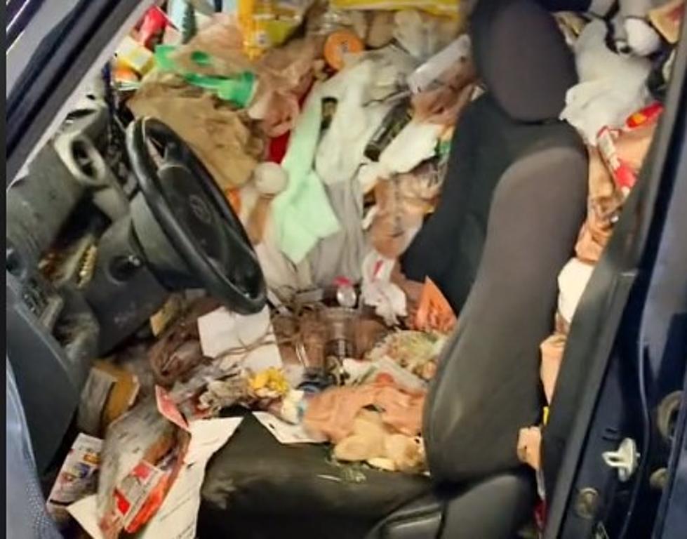 Shocking Video Is a Friendly Reminder That It Might Be Time to Clean Out Your Car