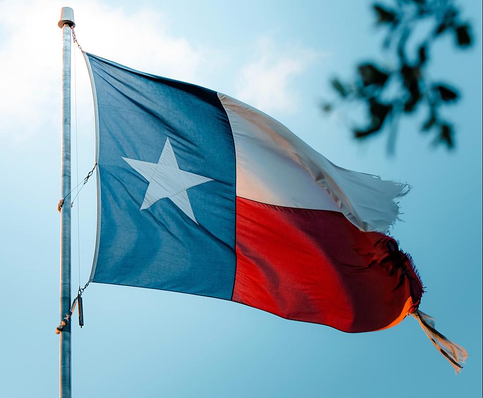 Do You Know Texas' State Symbols Beyond The Flag?
