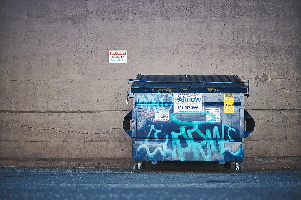 Calling All Dumpster Divers! 21 Amazing Things People Have Found In The Garbage