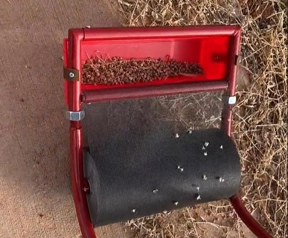 Video: This Amazing Sticker-Picker-Upper Could Totally Transform Your Texas Yard