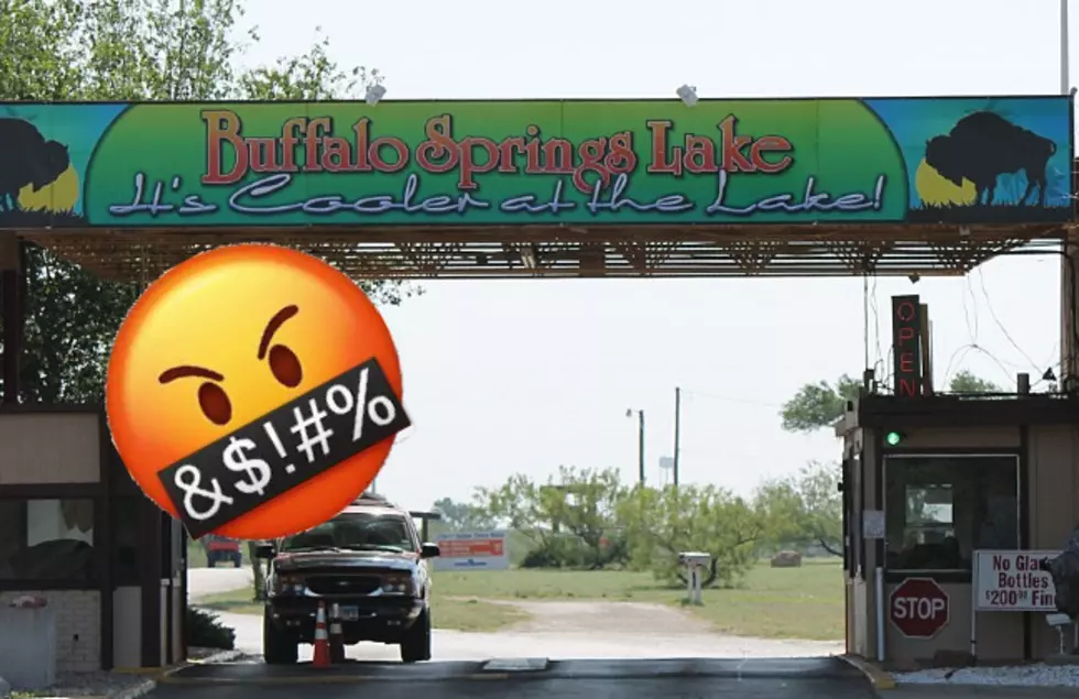 WTF: No More Cussing at Buffalo Springs Lake?