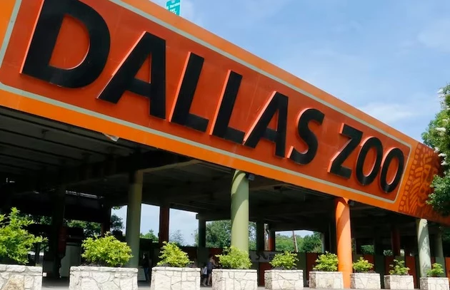 Is Something Strange And Sinister Happening At The Dallas Zoo?