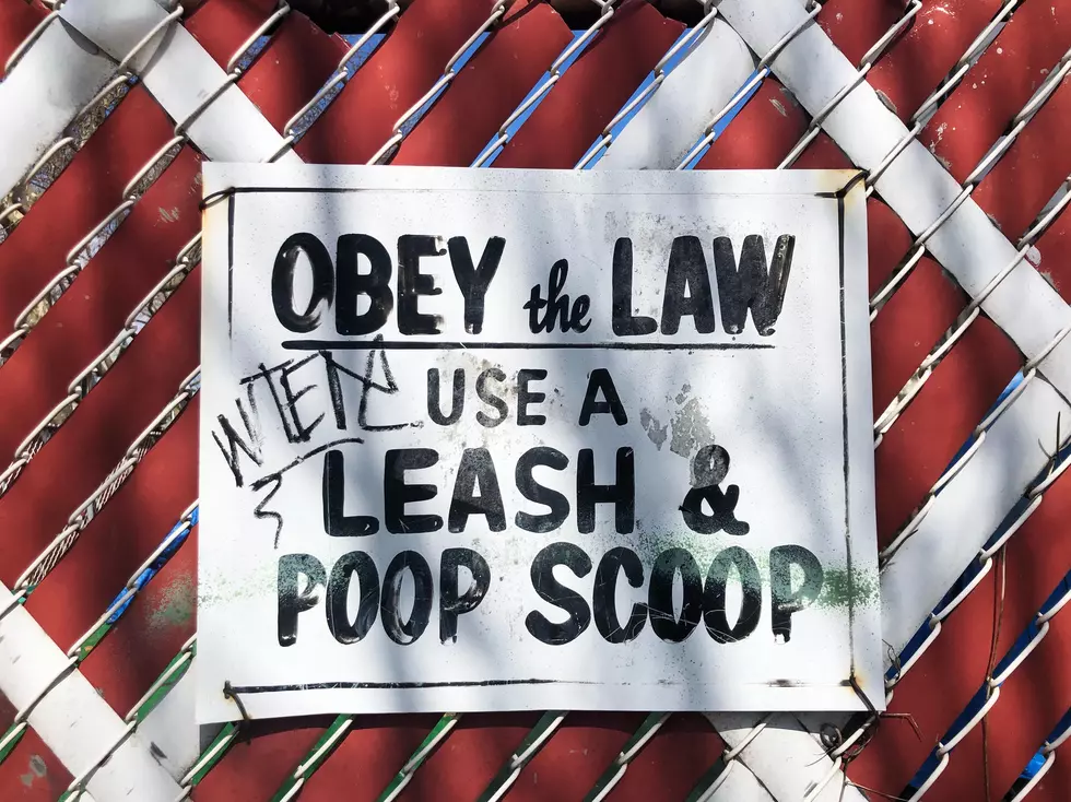 Can You Be Fined For Not Scooping Poop? 
