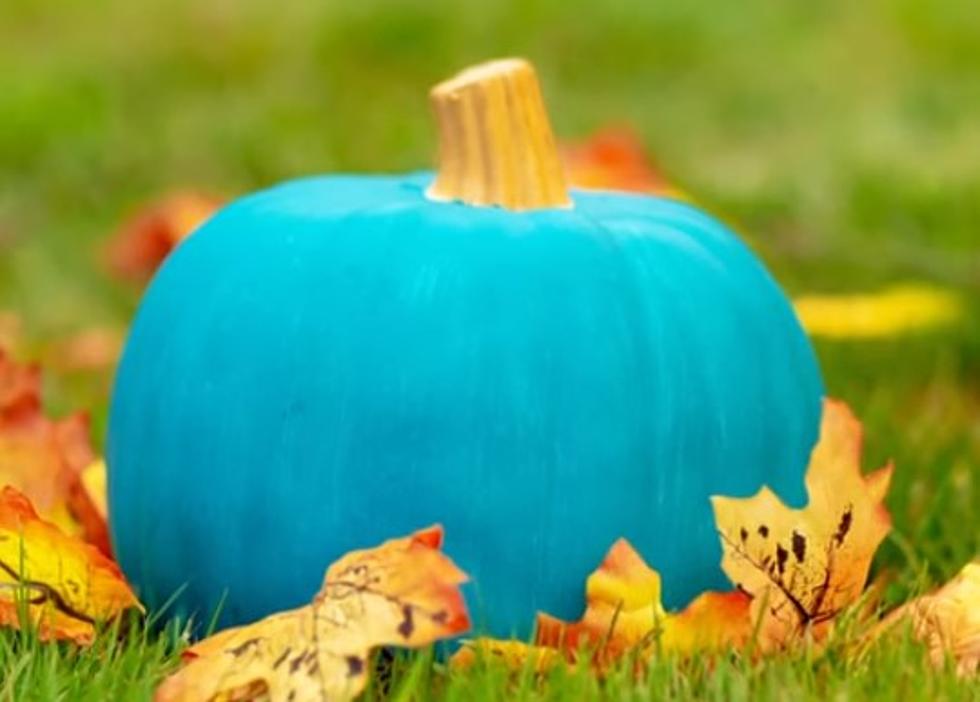 What's The Special Meaning Behind Colored Pumpkins?