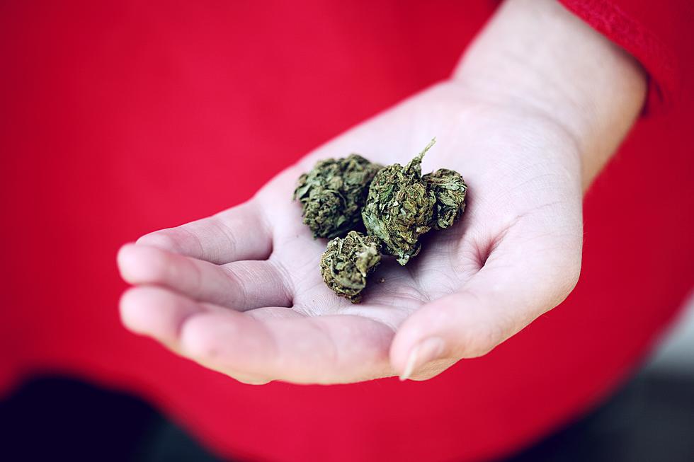 Lubbock Makes Headlines With Petition To Decriminalize Marijuana