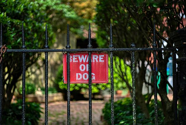 Warning: Texans Should Reconsider Posting Beware of Dog Signs