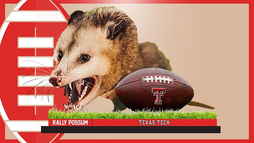 National Bobblehead Hall Of Fame Releases Texas Tech Rally Possum