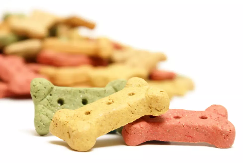 Students at A Pennsylvania Elementary School Fed Dog Treats as A Snack