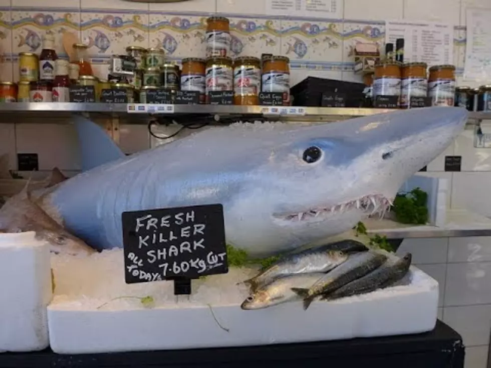 Shark Comes to Life in Fish Market