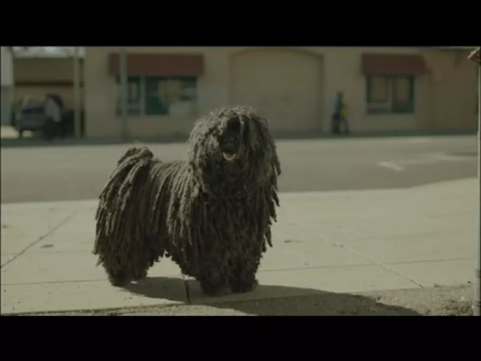 Dr Pepper Brings the Tears In New Commercial Starring a Mop Dog