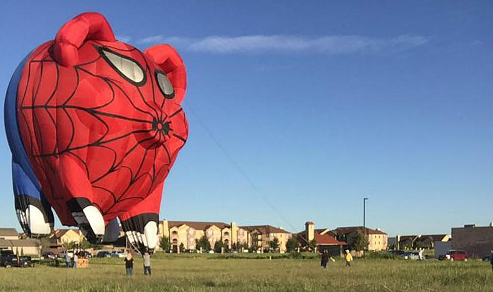 Up in the Air for Family Care Balloon Rally Returns in September