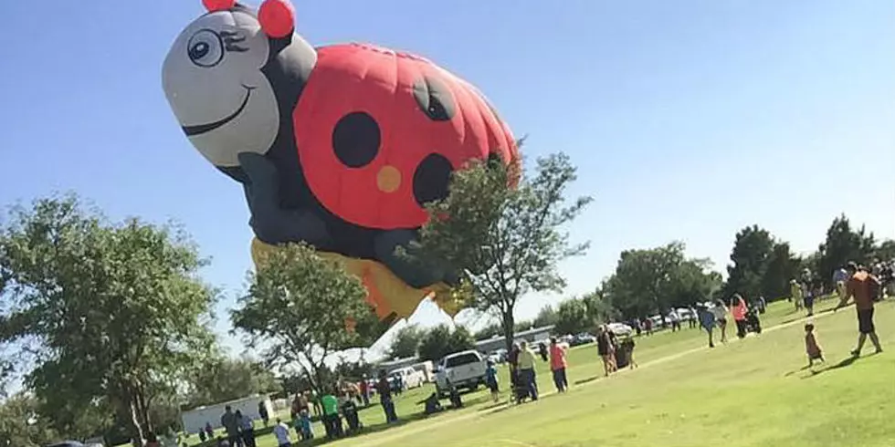 Amazing Hot Air Balloons Rise Over Amarillo at Up in the Air