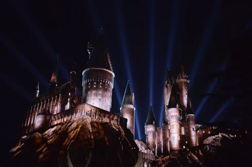 Harry Potter Is Heading To Hodgetown This Month