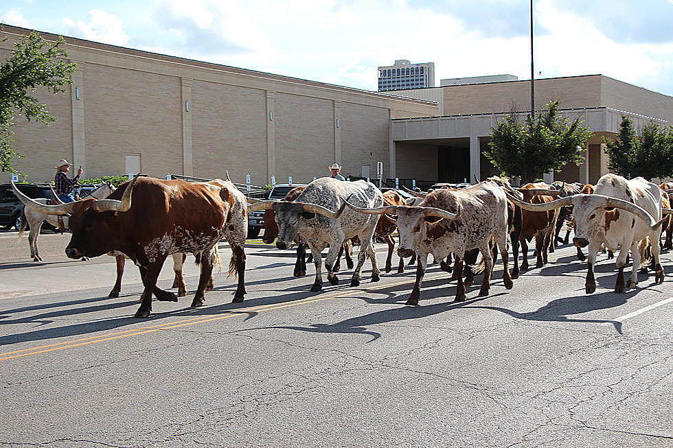 Amarillo is Ready for This Cattle Drive and Rodeo