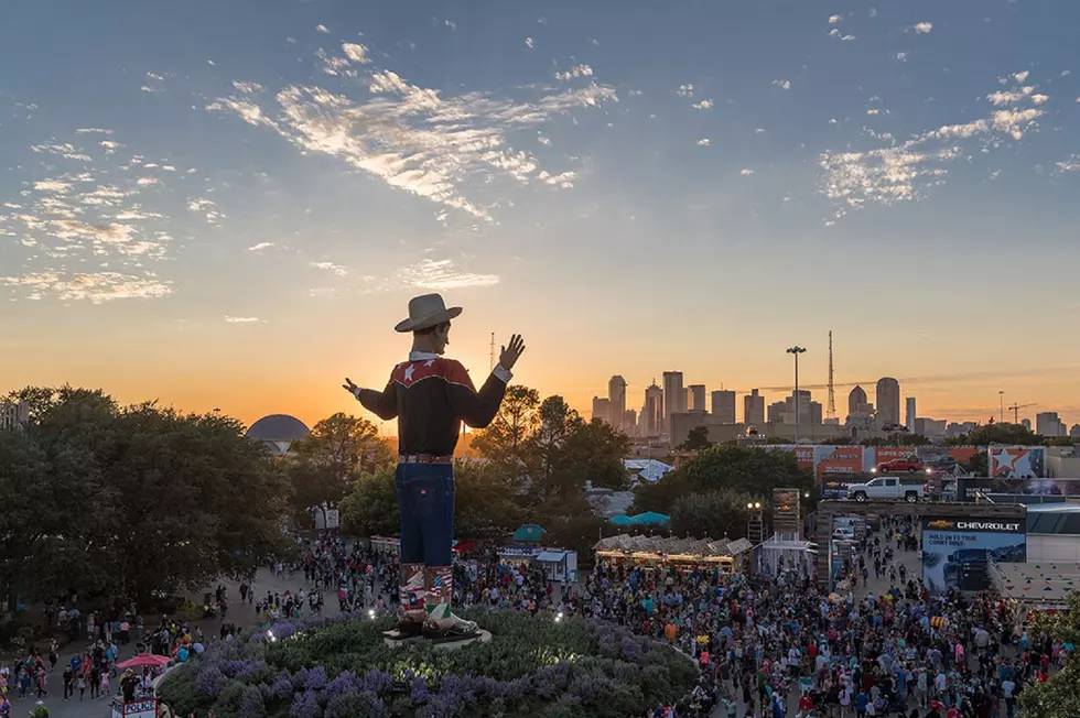 Which Concerts to See at the 2021 State Fair of Texas: My Picks